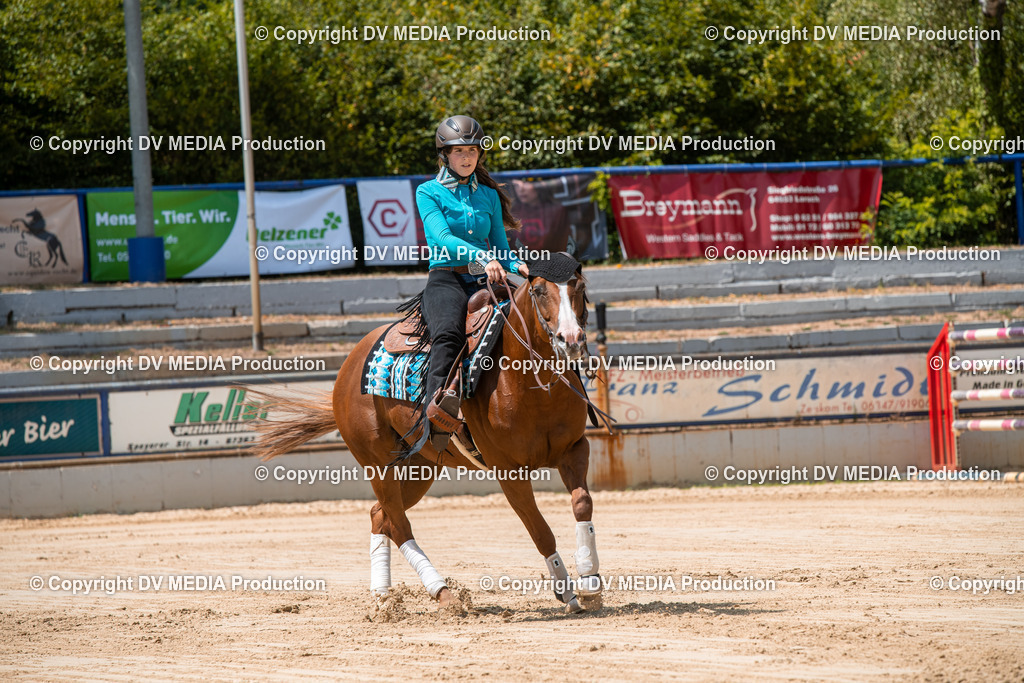 ZS3_9751 | dv-media-shop - Realisiert mit Pictrs.com