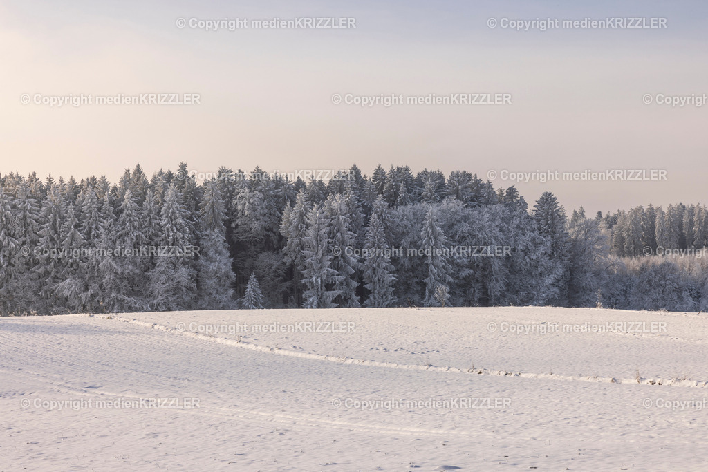 _J3A9655 | medienkrizzler - Realisiert mit Pictrs.com