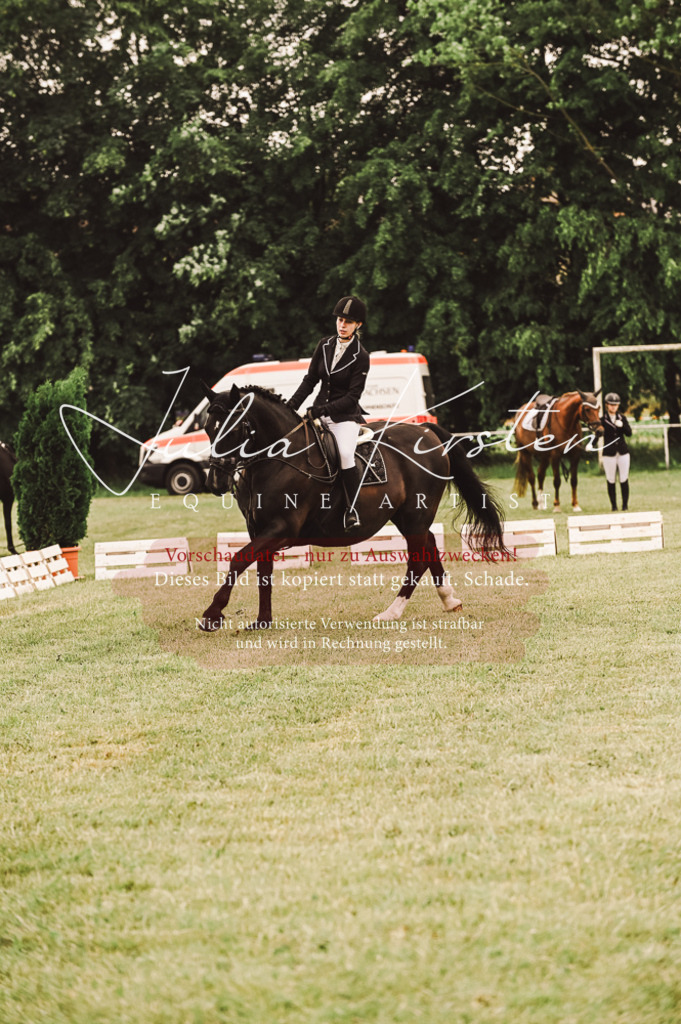 DSC_4990 | Pferde- und Turnierfotografie in Westsachsen. Pferdeportraits, Auftragszeichnungen und intuitive Kunst.