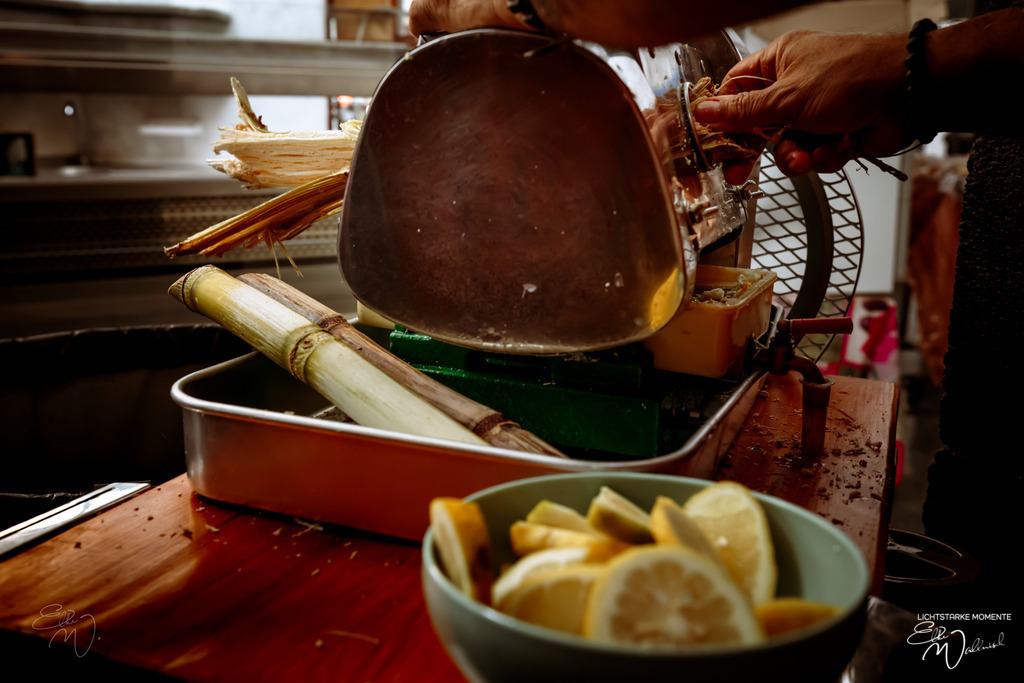 20250317-120920 LA PALMA_039-1 | Herzlich willkommen auf meiner Seite! Ich bin Elke Wallnisch, Deine Fotografin für lichtstarke Momente. Der Name steht für alles, was mich mit der Fotografie verbindet: Das Licht und seine machtvolle Wirkung auf eine Situation oder unsere Stimmung - Realisiert mit Pictrs.com