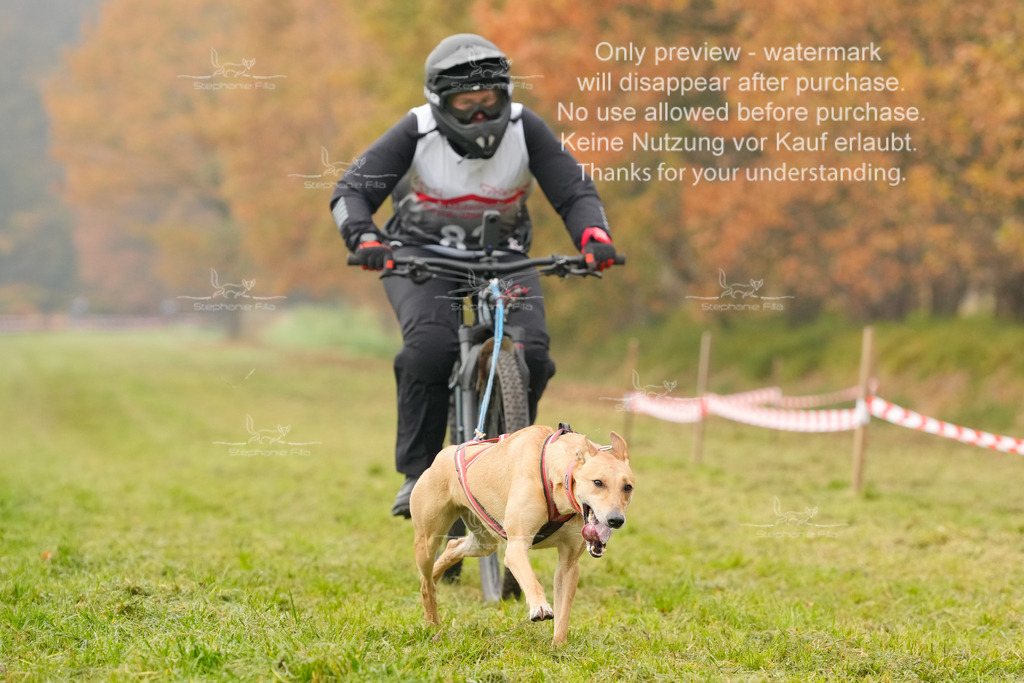 Visbeck_Sa_Bike-279 | stephaniefillaphotographie - Realisiert mit Pictrs.com