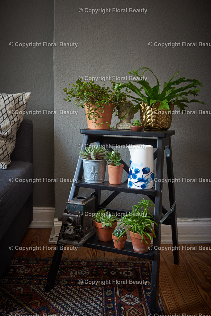 Pflanzentreppe_01 | Onlineshop für hochwertige Wandbilder. Bei uns findet ihr selbstgestaltete Blumenmotive. Das perfekte Geschenk, als Praxisdeko oder die eigene Wohnung. Alle künstlerischen Blumenfotos sind auf Leinwand, FineArtPrint, Kunstdruck und vielem mehr zu erwerben - Realisiert mit Pictrs.com