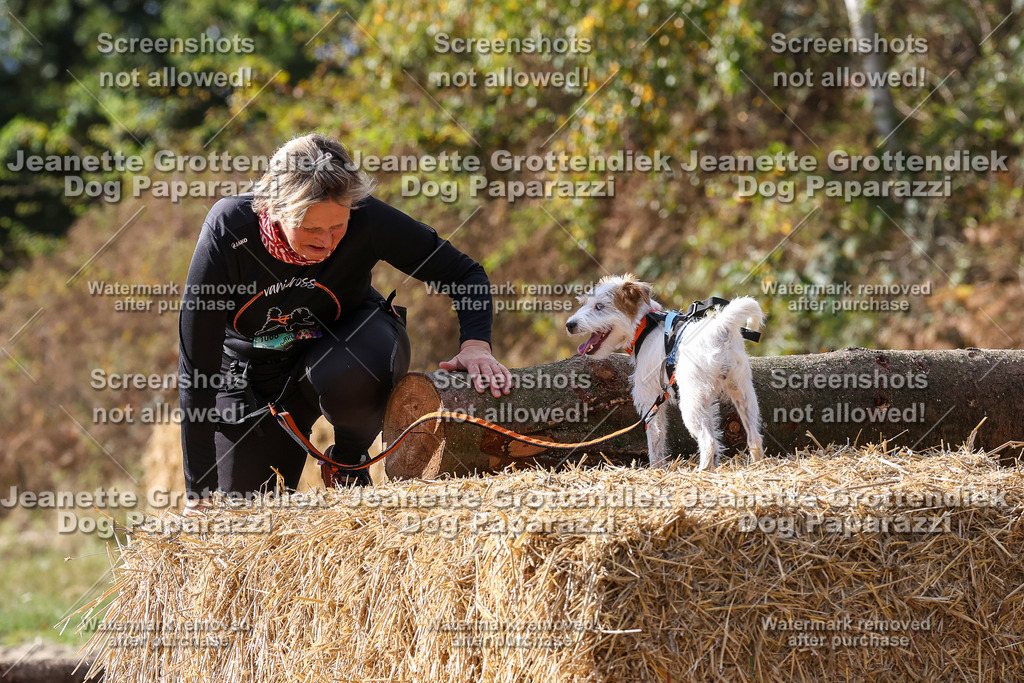 Dog Paparazzi - Strongdog 10-25-5295 | Dog Paparazzi Jeanette Grottendiek Fotografie & Videografie - Realisiert mit Pictrs.com