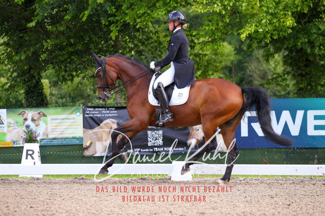 DKP41633 | Turnierfotos kaufen im Webshop von Daniel Kuhl Photography – entdecke professionelle Reitsportfotos aus Turnieren & Events. Hochwertige Turnierbilder online bestellen & sichern. Jetzt Fotos von Reitsportturnieren kaufen!