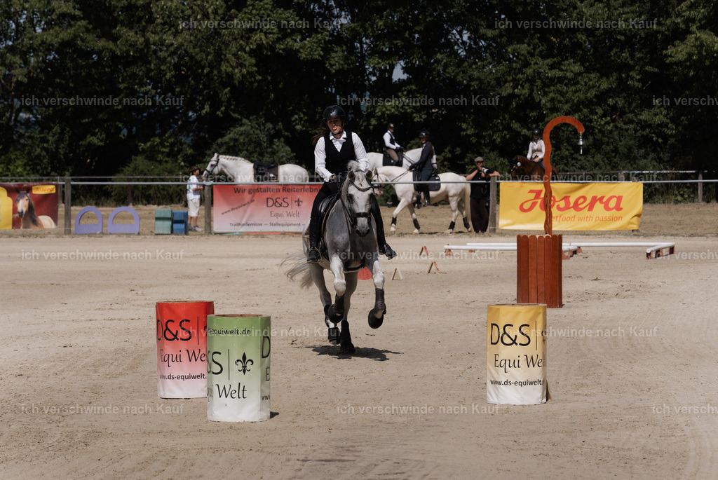WM_SP_143_SinaFilmArt_IN07813 | working equitationturnier fotograf videograf stoibphotography marixx film working equitation deutschland reitsport turnierfotografie eventfotografie equestrian events