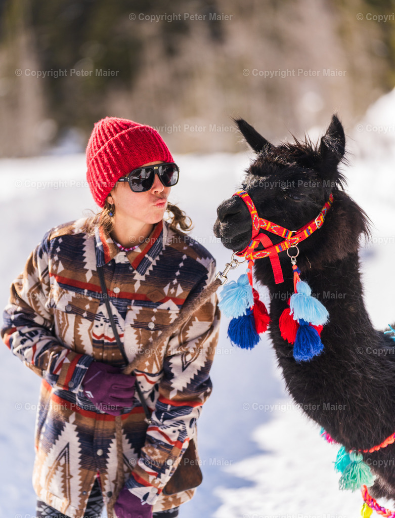 Lama_Wanderung_Winter_Stapitzer_See-176 | piet_flosse