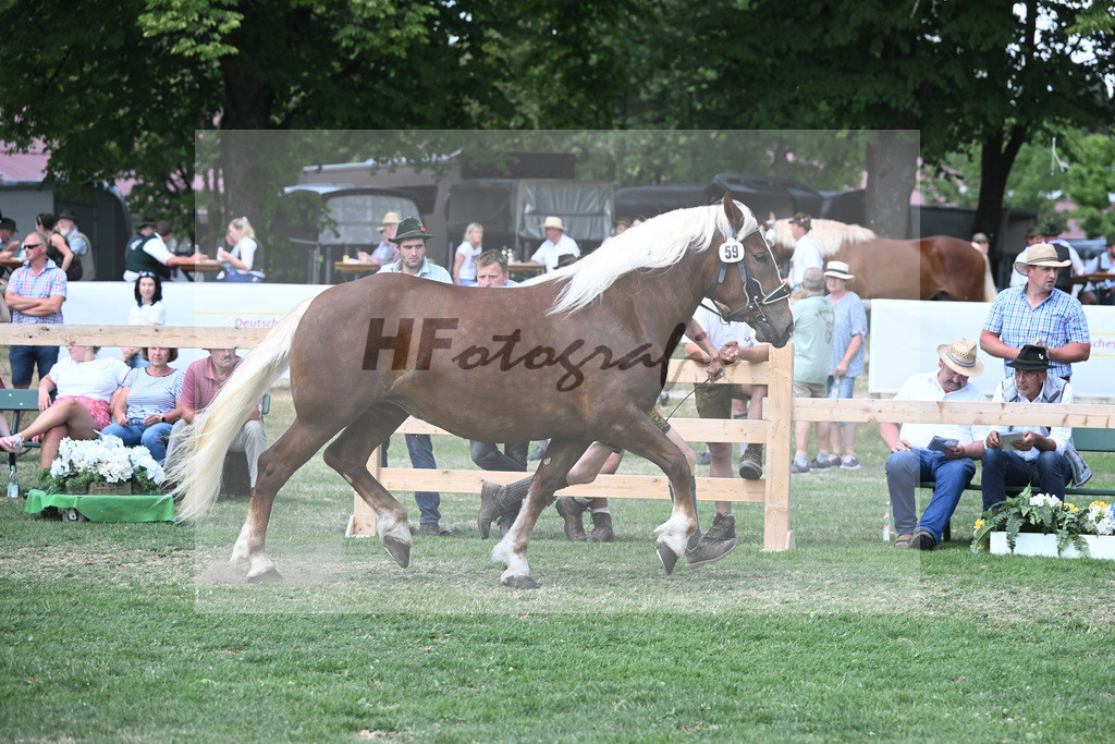 Kat-Nr. 59 Pamina_Mayr_20230960 | hf-fotografie - Realisiert mit Pictrs.com