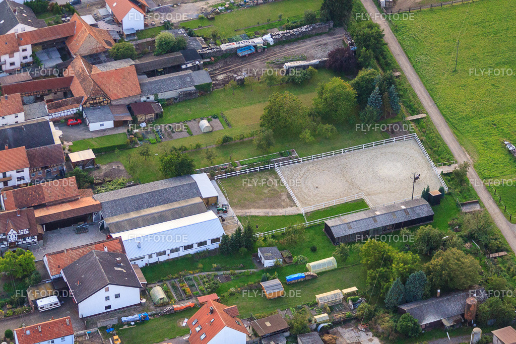 Brehmstr | Luftbild: Brehmstr im Ortsteil Minderslachen in Kandel im Bundesland Rheinland-Pfalz in Deutschland. Foto: IMG_32877.jpg vom 03.09.2010 durch Werner Riehm/FLY-FOTO.de - Realisiert mit Pictrs.com