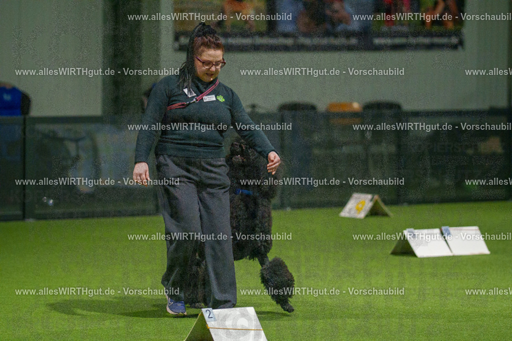 7R508781 | Professionelle Tierfotografie in Mönchengladbach von Daniel Wirth (allesWIRTHgut). Liebevolle & natürliche Bilder von Hunden & Katzen für unvergessliche Erinnerungen.