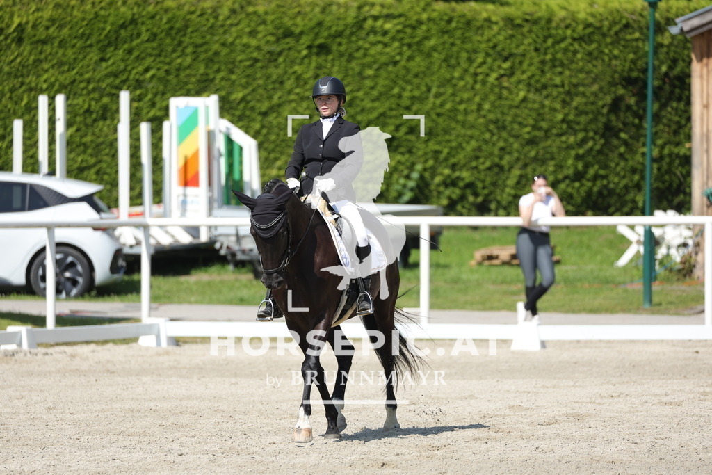 0P6A0560 | Willkommen bei Brunnmayr - Design & Fotografie – Ihrem Spezialisten für Reitturniere und Pferdeveranstaltungen in Oberösterreich, Salzburg und Bayern! Seit über 17 Jahren sind wir leidenschaftlich dabei.