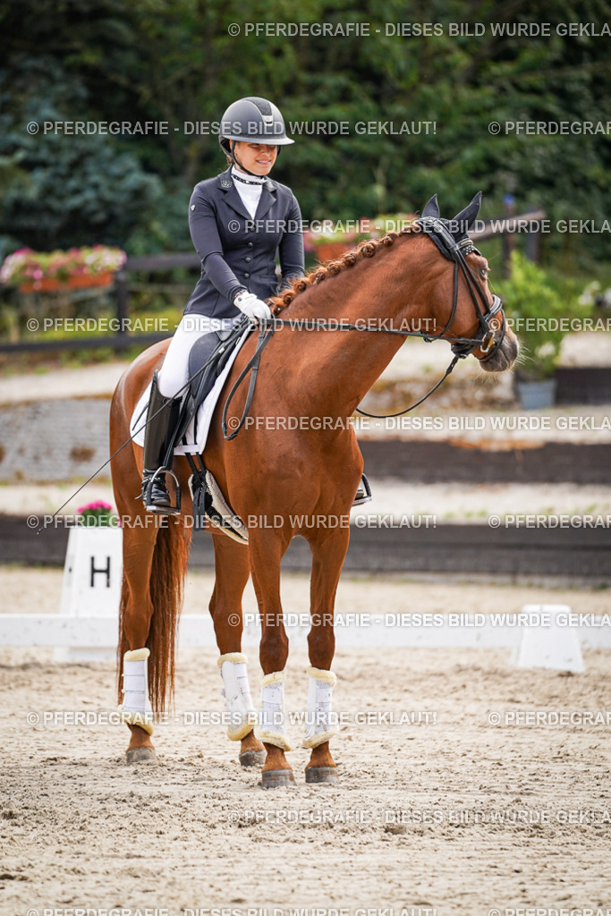 DSC02305 | Pferdegrafie