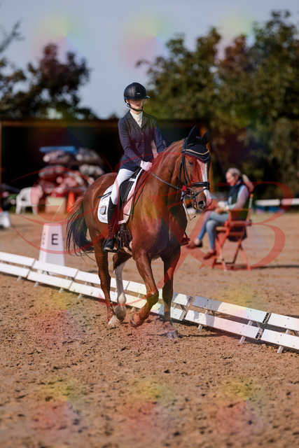 2026_10_03_Siefer-Hof_123443_Z81_32795420 | Professionelle Reitsport-, Turnier- und Eventfotografie von Robert Broda. Galerien mit ausgewählten und bearbeiteten Bildern direkt online ansehen und bestellen.