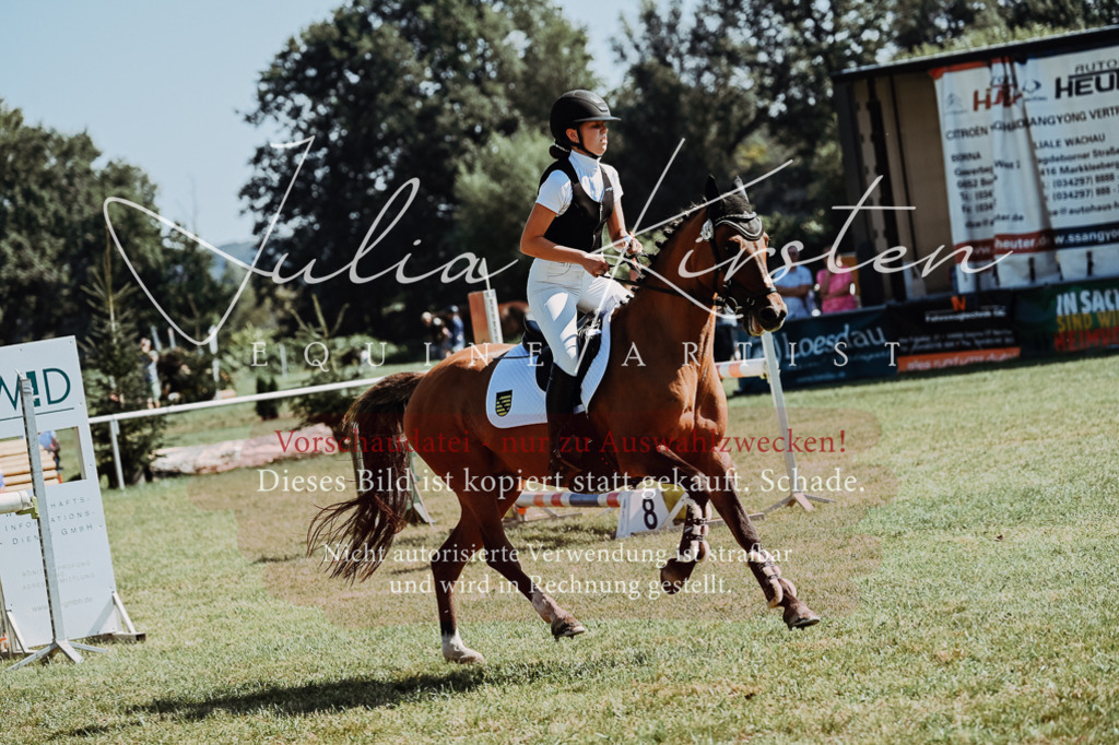 DSC_6132 | Pferde- und Turnierfotografie in Westsachsen. Pferdeportraits, Auftragszeichnungen und intuitive Kunst.