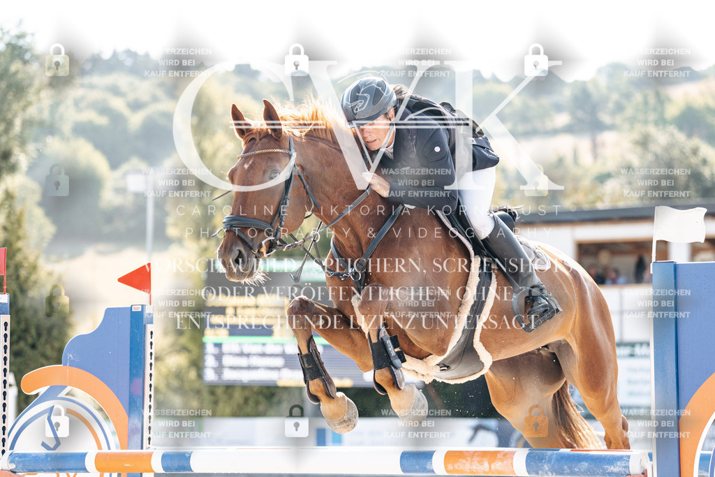CK901774 | Turnierfotografie Pferdefotografie Trier Rheinland-Pfalz Pferdesport Reitsport Tierfotografie Sportfotografie Pferdevideo Pferdevideografie Equestrianvideography equestrianphotography  - Realisiert mit Pictrs.com