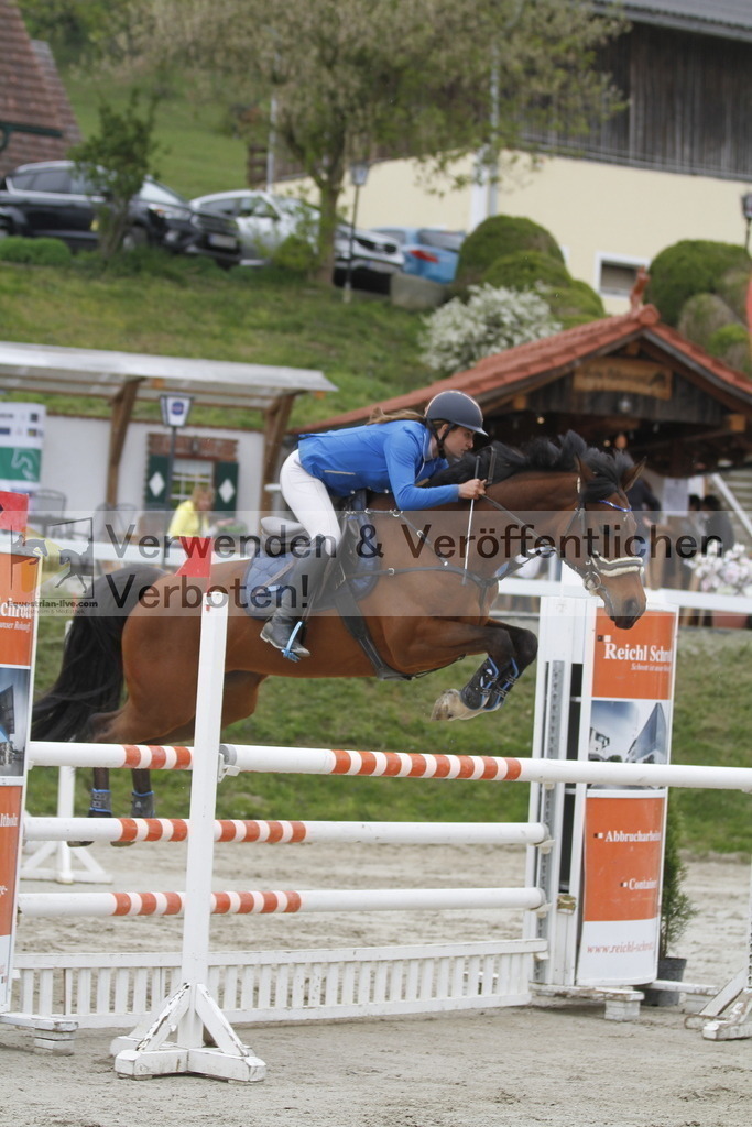 _MG_2953 | equestrian-live-com