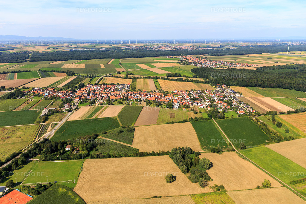 Luftbild: Ortsansicht von Süden in Erlenbach bei Kandel im Bundesland Rheinland-Pfalz in Deutschland. Foto: IMG_128001.jpg vom 12.08.2021 durch Werner Riehm/FLY-FOTO.de