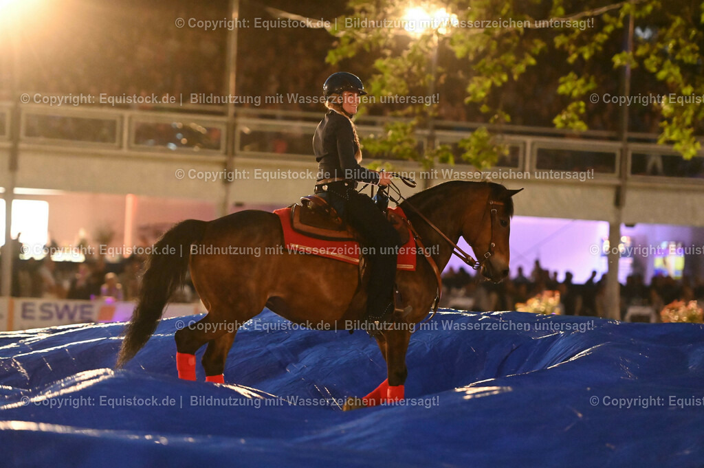 20230526_Pferdenacht_1018 | equistock