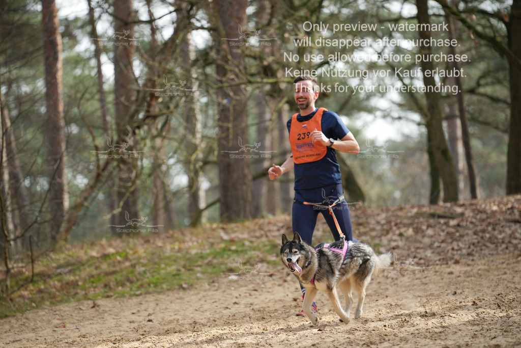LangeCross-158 | stephaniefillaphotographie - Realisiert mit Pictrs.com