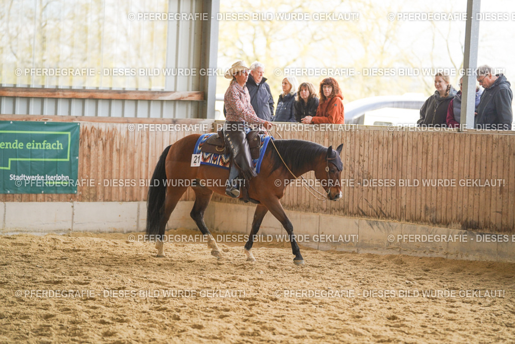 DSC08086 | Pferdegrafie