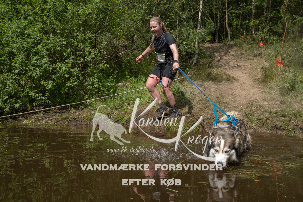 1039DKK991106 | kk-dogfotos