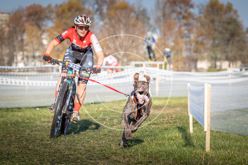 CaniXpix_0L8A4326 | Hundefotografie, Tierfotograf, Pfotenfotografie, Fotoshooting Hund, Hunde Portrait, Hundesport, Hundeportraits, Heideshooting, Hunde, Sportfotograf, Hundefotograf, Turnierhundsport, THS,  - Realisiert mit Pictrs.com
