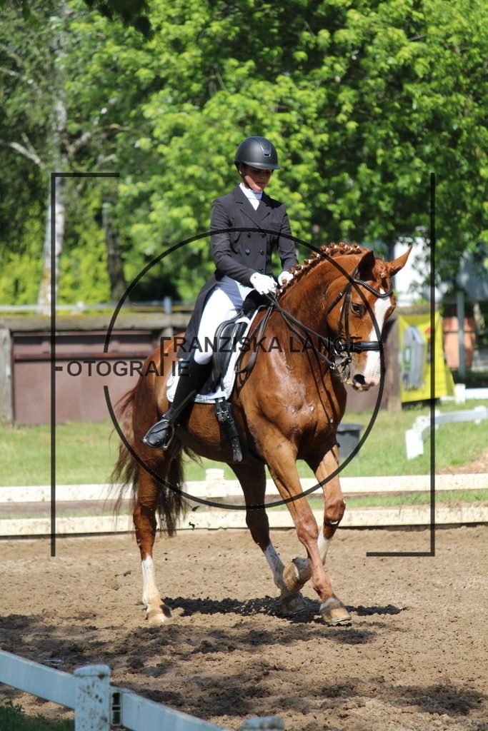 IMG_7150 | franziskalange - Realisiert mit Pictrs.com