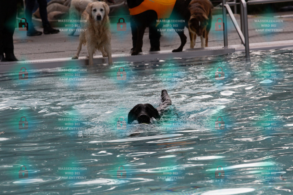 _HP_7564_1000o | HetPix, HetPix Fotodesign, Fotografie, Fotodesign, Webshop, Sportfotografie, Portraitfotografie, Onlineshop, Sportfotografie, Polch, Motorsportfotografie, Eventfotografie