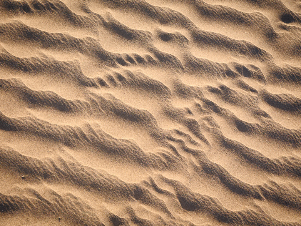 SilvanoPedrett_preview_Desert-35 | silvanopedrett - Realisiert mit Pictrs.com