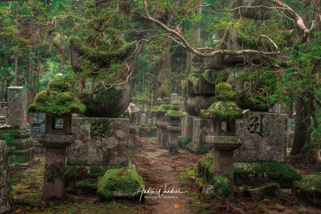 Verlassenes Heiligtum | Andre Wandrei - Nature Artworx - Realisiert mit Pictrs.com