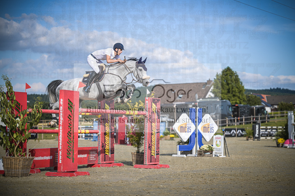 DOS_2621 | Entdecke hochwertige Reitturnierfotos von Foto Oger. Professionell, emotional und authentisch – jetzt Lieblingsmomente im Shop bestellen.Deutschlandweite Turnierfotografie. - Realisiert mit Pictrs.com