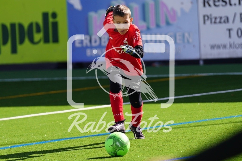 SON07678 | rabefotos