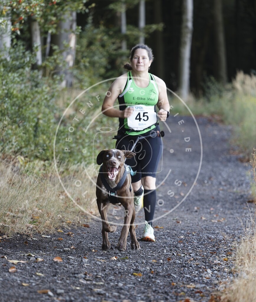 0L8A1724 | Hundefotografie, Tierfotograf, Pfotenfotografie, Fotoshooting Hund, Hunde Portrait, Hundesport, Hundeportraits, Heideshooting, Hunde, Sportfotograf, Hundefotograf, Turnierhundsport, THS,  - Realisiert mit Pictrs.com