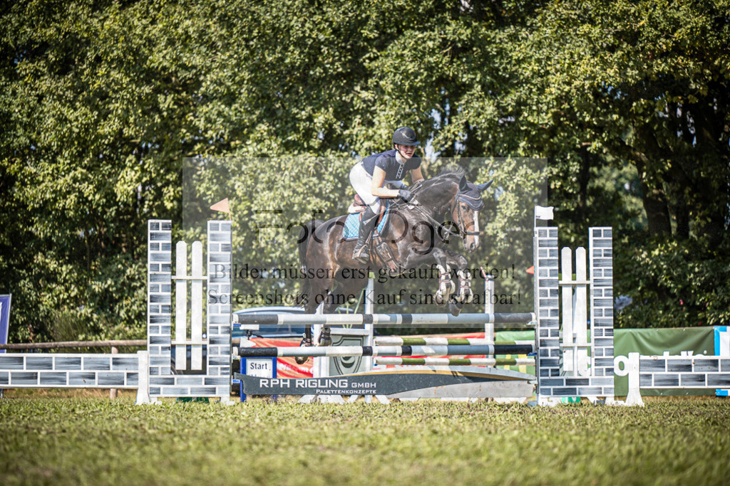 Z63_0206 | Entdecke hochwertige Reitturnierfotos von Foto Oger. Professionell, emotional und authentisch – jetzt Lieblingsmomente im Shop bestellen.Deutschlandweite Turnierfotografie. - Realisiert mit Pictrs.com