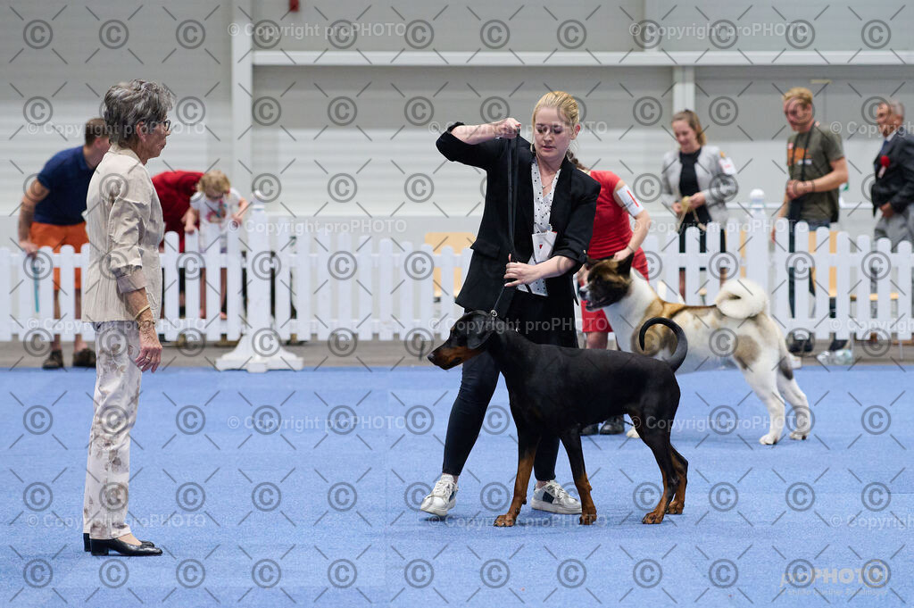 202406_ÖKV-IHA-Tulln24_DSC_3321 | proPHOTO - Realisiert mit Pictrs.com