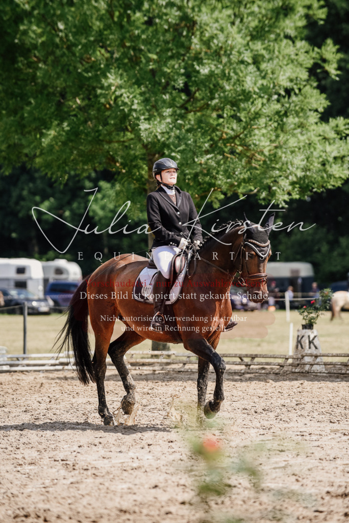 DSC_0804 | Pferde- und Turnierfotografie in Westsachsen. Pferdeportraits, Auftragszeichnungen und intuitive Kunst.