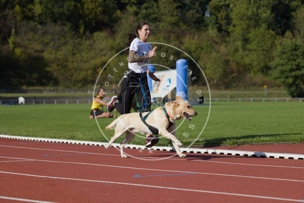 0L8A0061 | Hundefotografie, Tierfotograf, Pfotenfotografie, Fotoshooting Hund, Hunde Portrait, Hundesport, Hundeportraits, Heideshooting, Hunde, Sportfotograf, Hundefotograf, Turnierhundsport, THS,  - Realisiert mit Pictrs.com