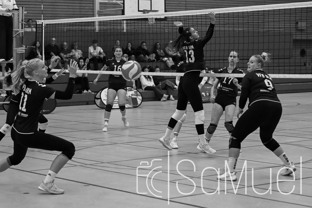 20261010-SML_8942 | Sa-Muel - Realisiert mit Pictrs.com