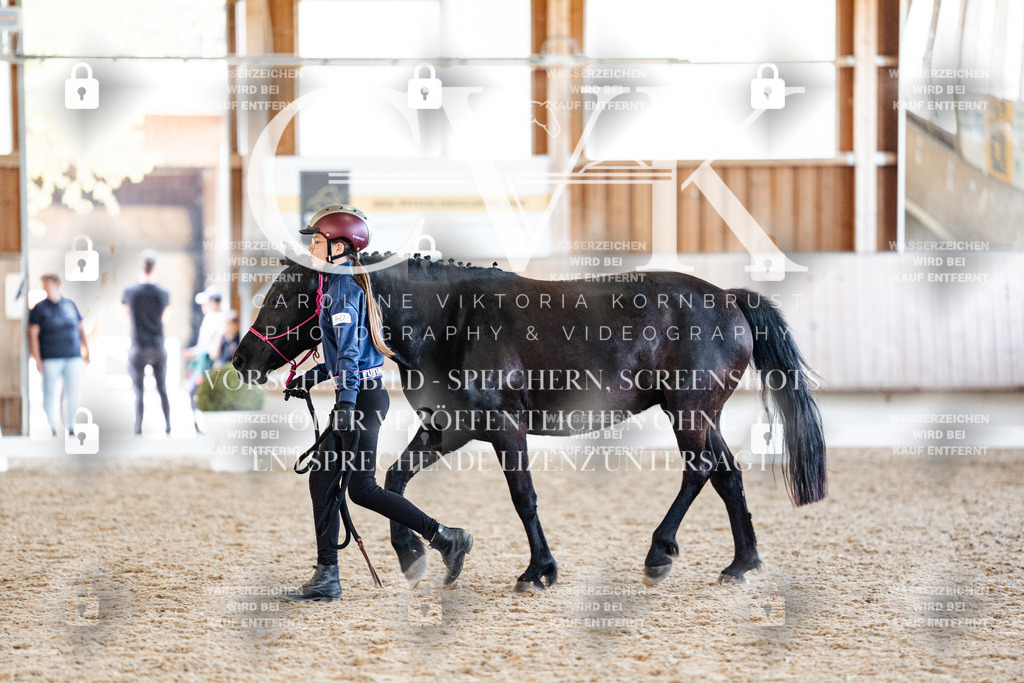 CK906822 | Turnierfotografie Pferdefotografie Trier Rheinland-Pfalz Pferdesport Reitsport Tierfotografie Sportfotografie Pferdevideo Pferdevideografie Equestrianvideography equestrianphotography  - Realisiert mit Pictrs.com