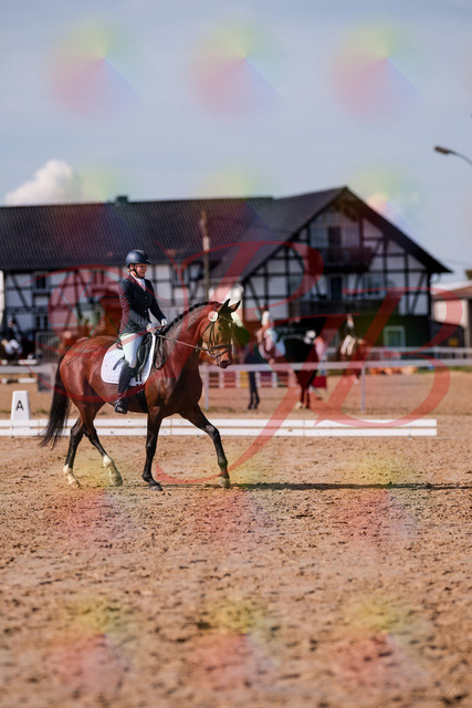 2026_10_03_Siefer-Hof_125731_Z81_45836724 | Professionelle Reitsport-, Turnier- und Eventfotografie von Robert Broda. Galerien mit ausgewählten und bearbeiteten Bildern direkt online ansehen und bestellen.