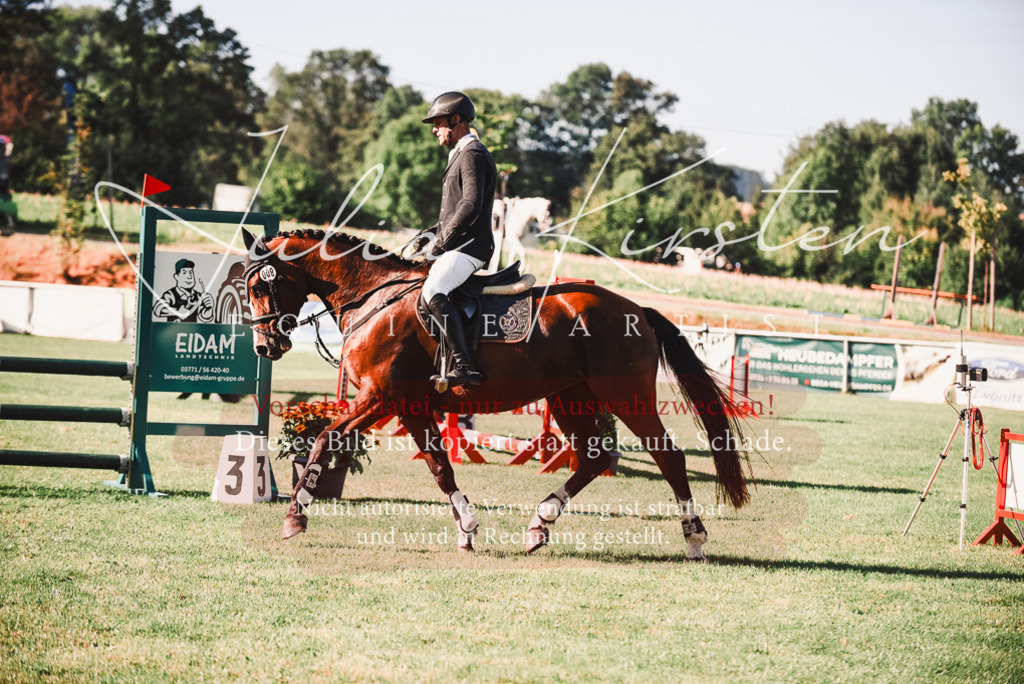 DSC_2199 | Pferde- und Turnierfotografie in Westsachsen. Pferdeportraits, Auftragszeichnungen und intuitive Kunst.