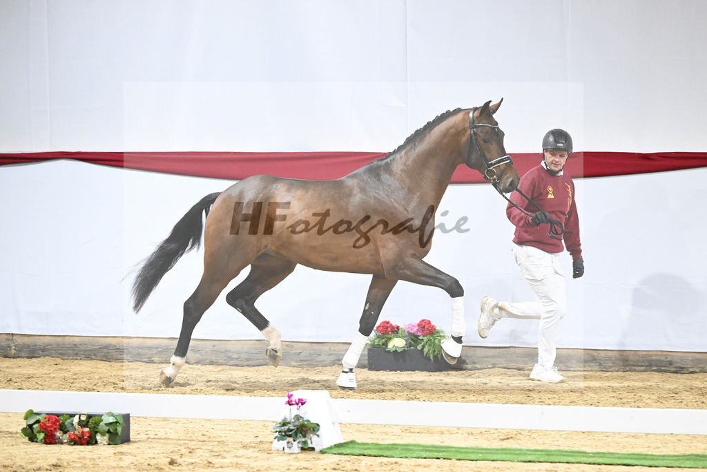 Kat-Nr. 60 v. Valverde_Schoenland_63221798 | hf-fotografie - Realizzato con Pictrs.com