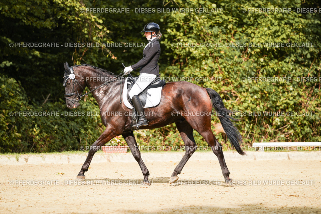 DSC03129 | Pferdegrafie