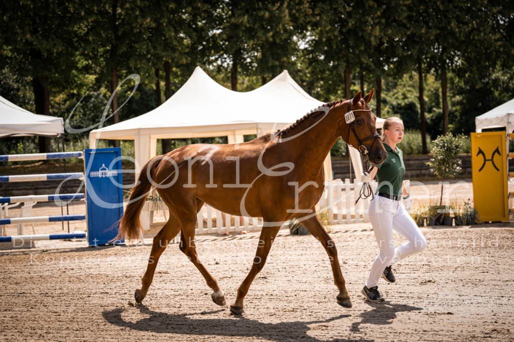 1.Fr00041 | Leoni Ertmer Photography - Realisiert mit Pictrs.com