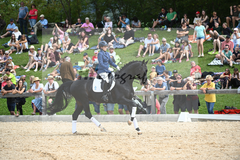 Hengste im Sport_36240155 | hf-fotografie - Realisiert mit Pictrs.com