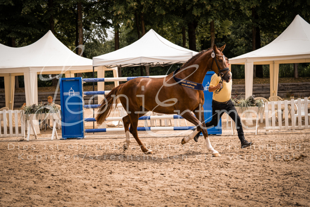 3.Fr00271 | Leoni Ertmer Photography - Realisiert mit Pictrs.com