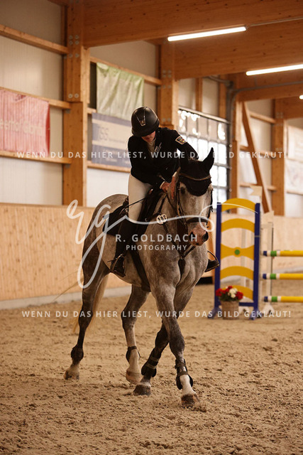 1J2A4239Alina Maack_ Karat du Scal__ Kn302_ Hohen Wieschendorf_ Glantz | Foto- und Videografie für alles rund ums Pferd. Hochwertige Bilder und Videos vom Spring- und Dressurreiten, Voltigieren & mehr. Jetzt aktuelle Veranstaltungen und Preise im Shop ansehen. - Realisiert mit Pictrs.com