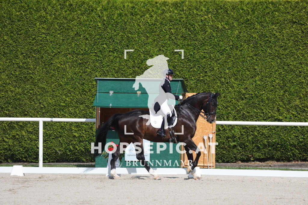 0P6A6741 | Willkommen bei Brunnmayr - Design & Fotografie – Ihrem Spezialisten für Reitturniere und Pferdeveranstaltungen in Oberösterreich, Salzburg und Bayern! Seit über 17 Jahren sind wir leidenschaftlich dabei.
