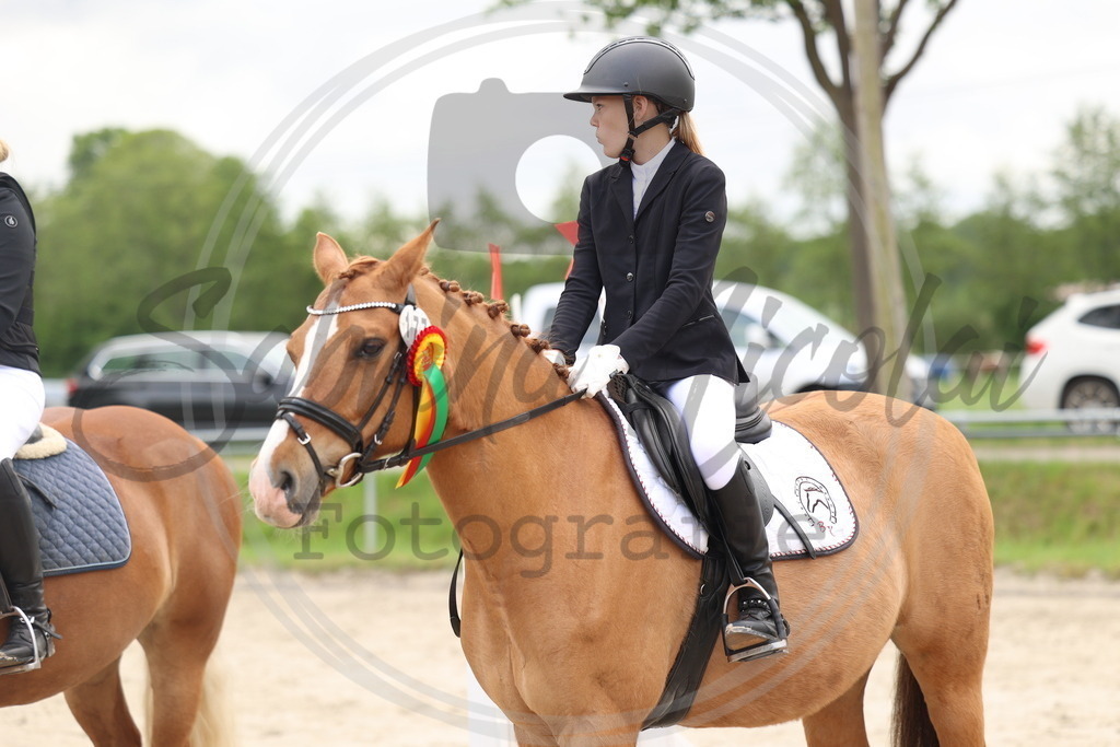 994A8522 | sabrinanicolaifotografie - Realisiert mit Pictrs.com