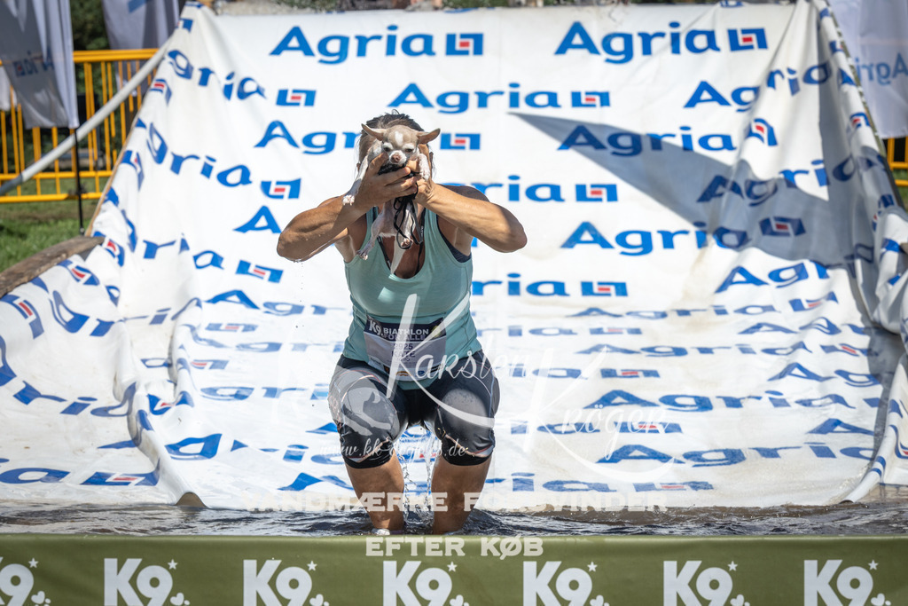 1321_ZZ99947 | kk-dogfotos