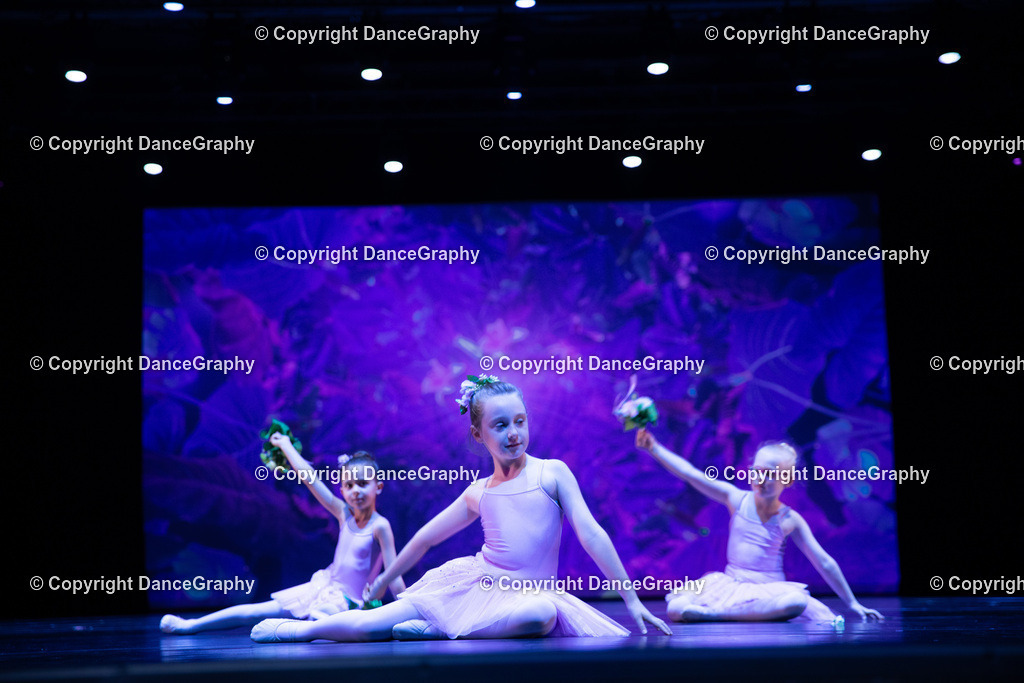 GPHY4889 | DanceGraphy - Realisiert mit Pictrs.com